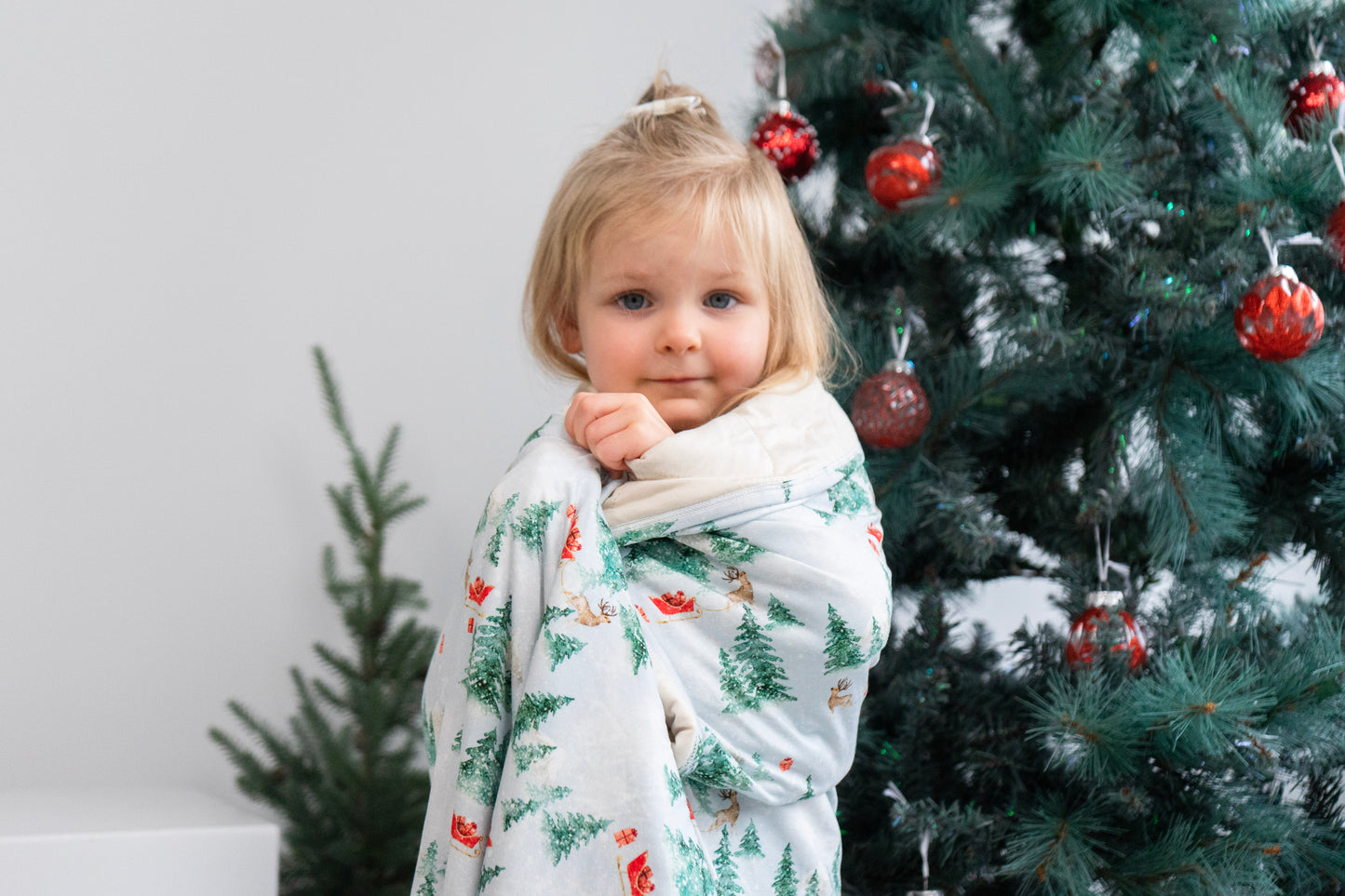 Belan J 2.5 TOG Family Blanket in Sleigh Ride/Buttermilk