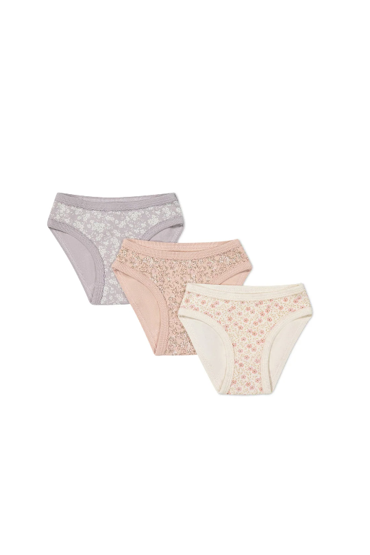 Jamie Kay Organic Cotton Girls Briefs 3Pk