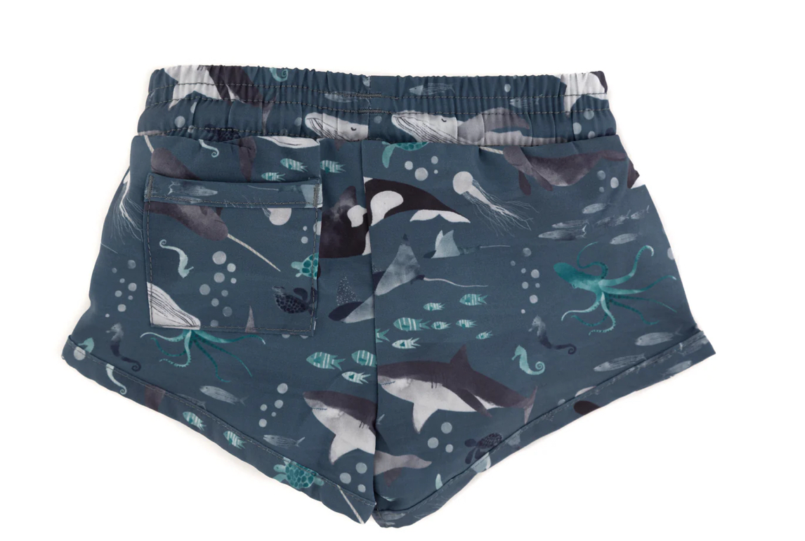 Current Tyed Boardies in “Finn”