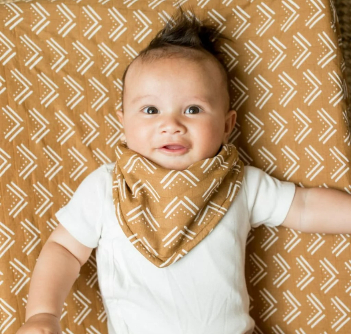 Lulujo Bandana Bib Set in Blackbirds
