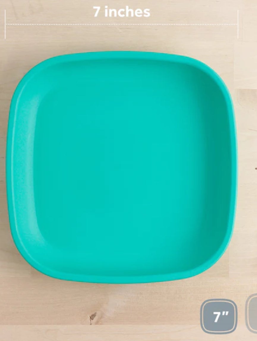 Replay Recycled Plates