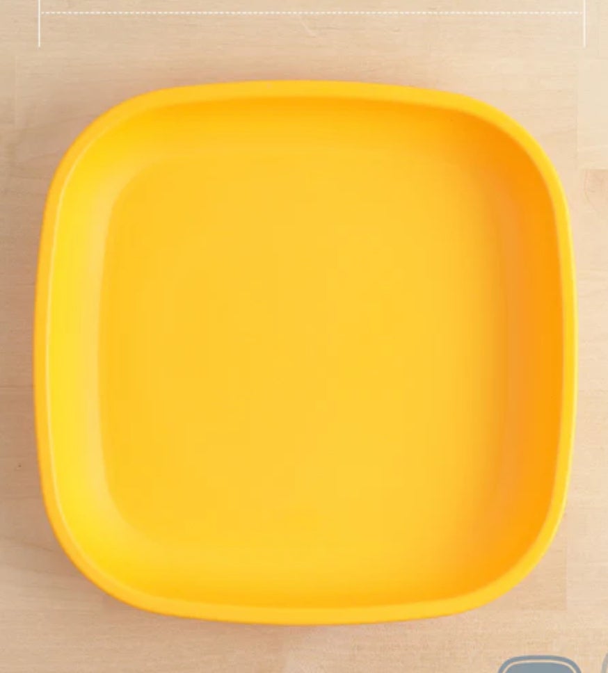 Replay Recycled Plates