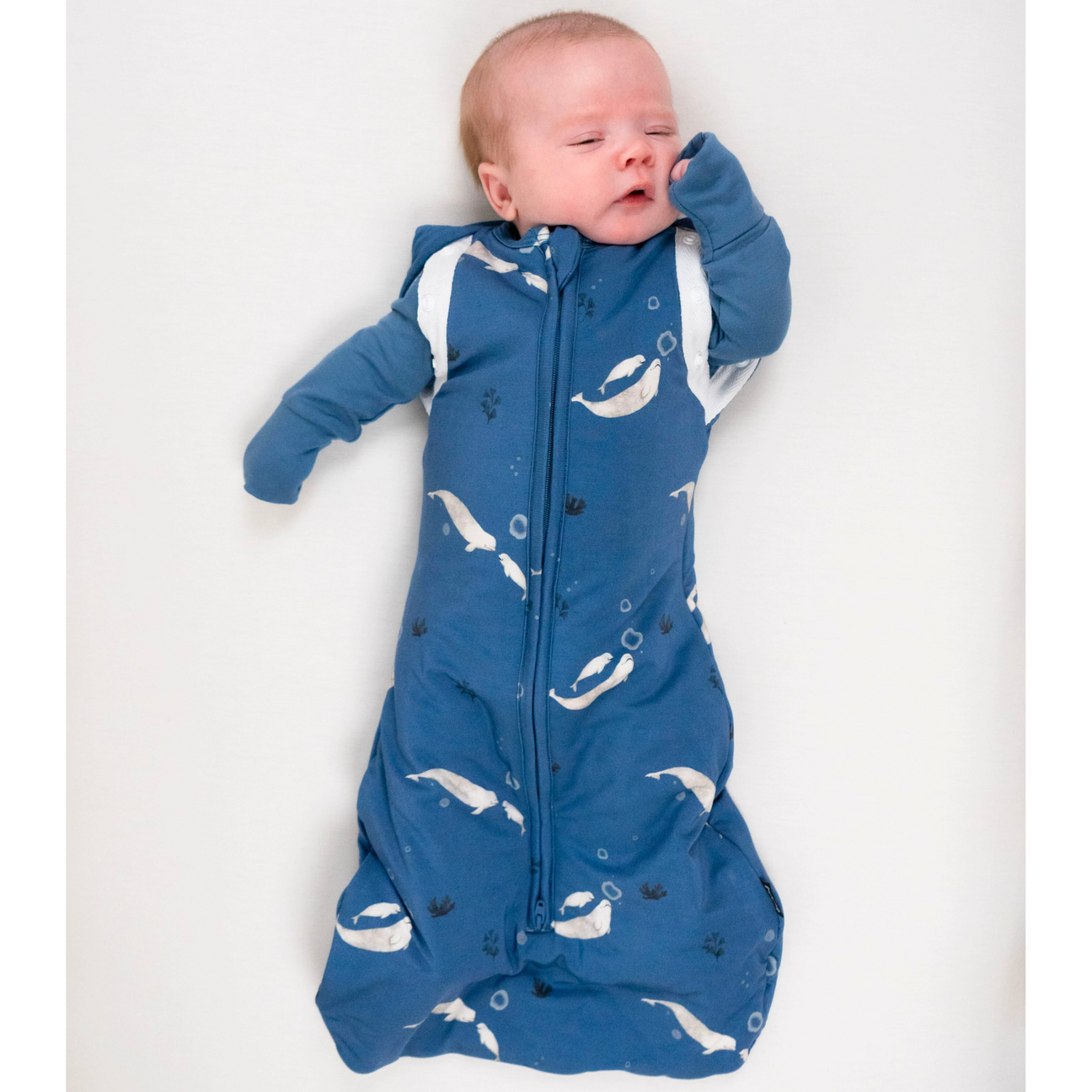 Belan J Convertible Swaddle Sack in Belugas