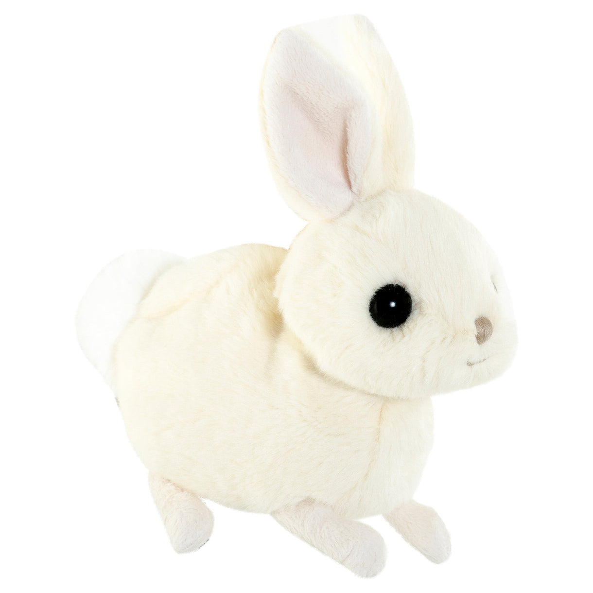 Bukowski Bears - Zeus Bunny
