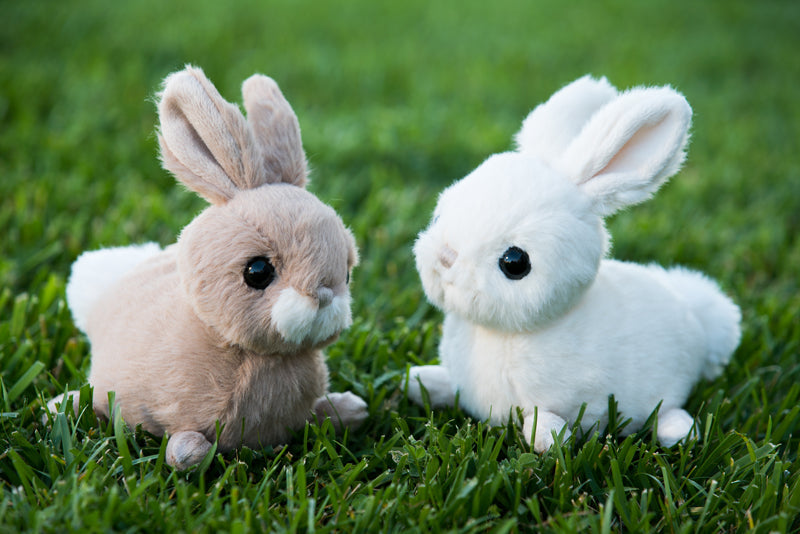 Bukowski Bears - Zeus Bunny