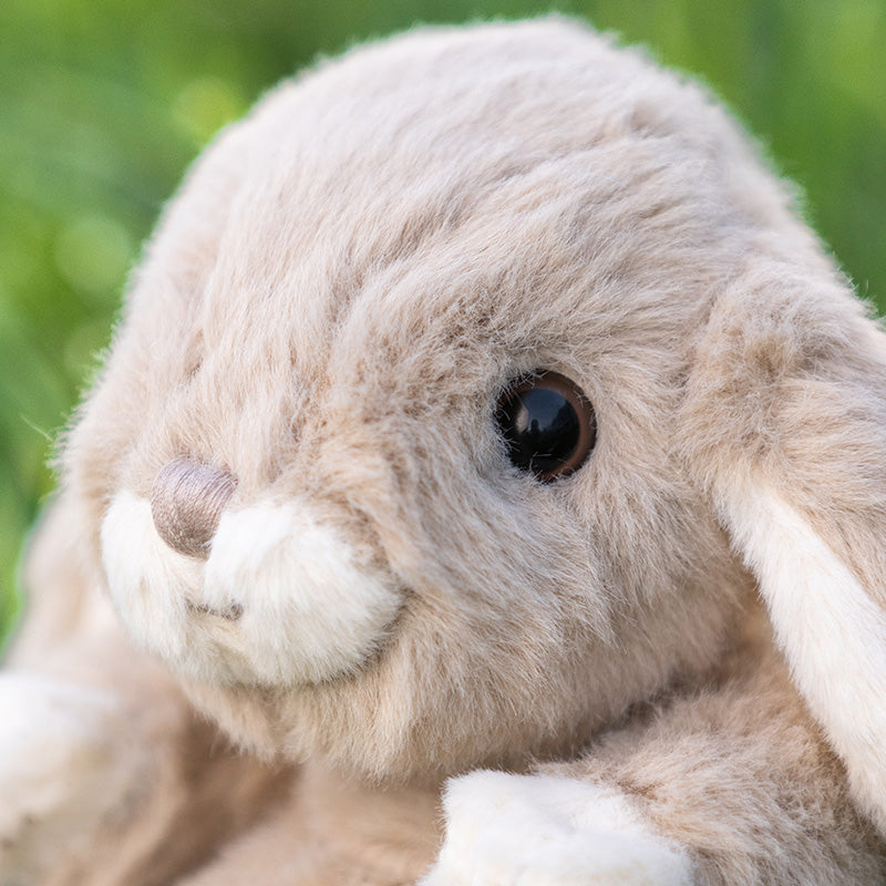 Bukowski Bears - Kanini Bunny in Taupe