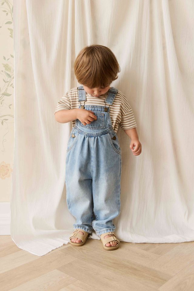 Jamie Kay Cecil Overall in Antique Blue