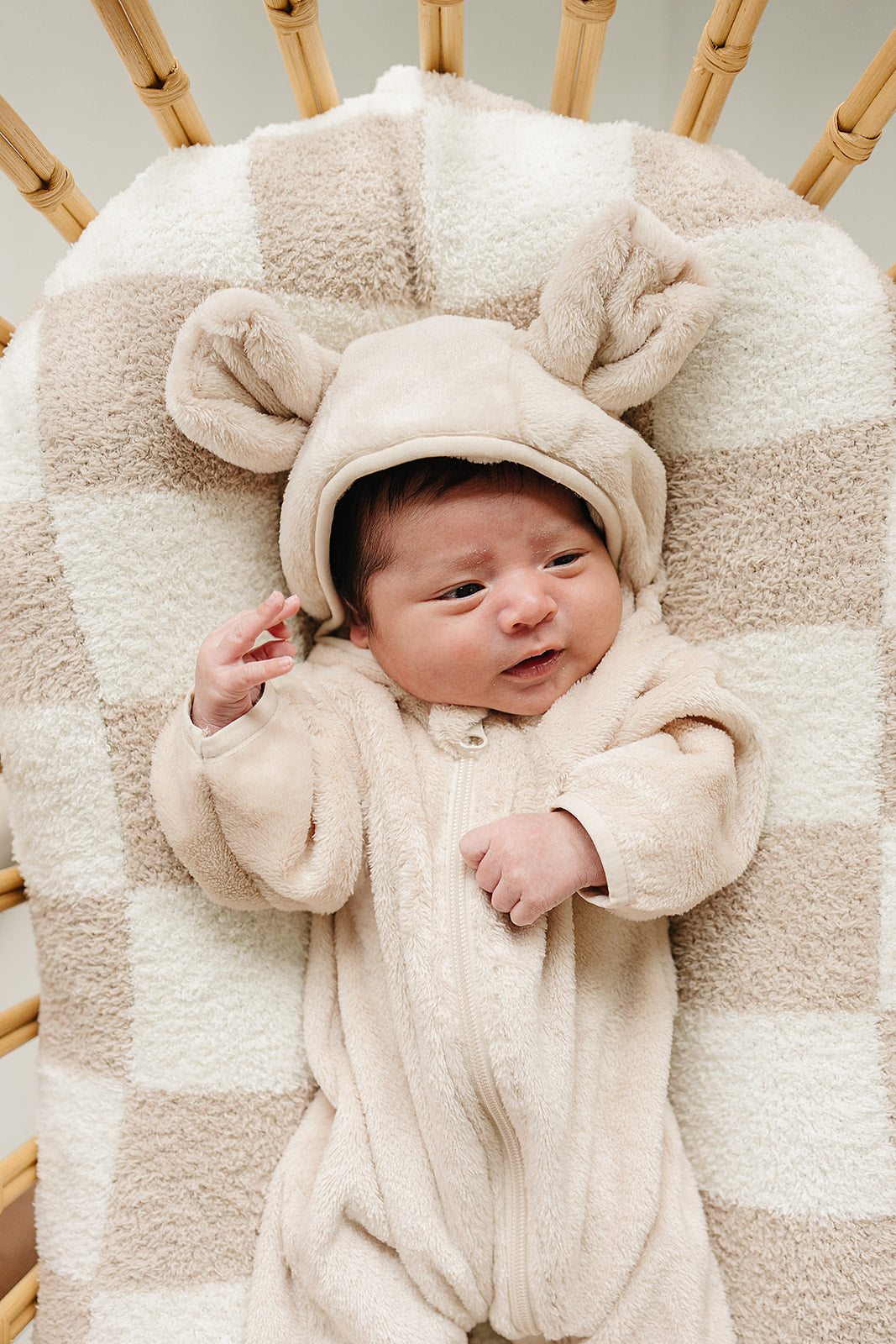 Mebie Baby Fleece Hooded Bear Zipper Suit