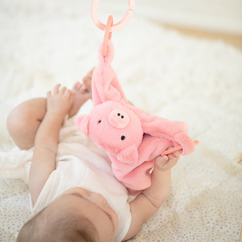 Bella Tunno Teether Buddies