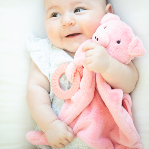 Bella Tunno Teether Buddies