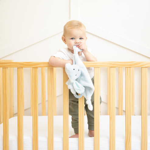 Bella Tunno Teether Buddies