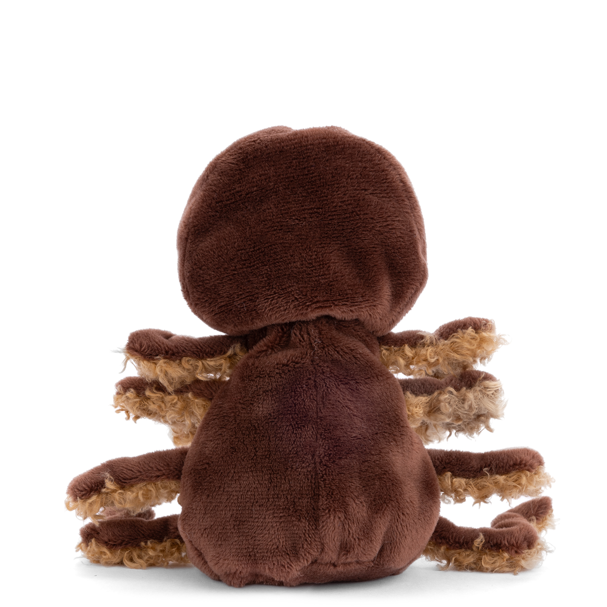 Bukowski Ziggy Spider