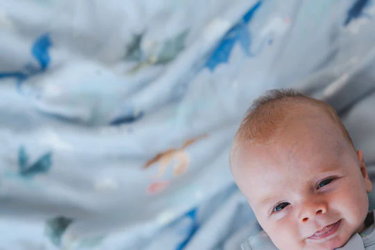 Loulou Lollipop 1.0 TOG Sleep Bag in Magical Dragons