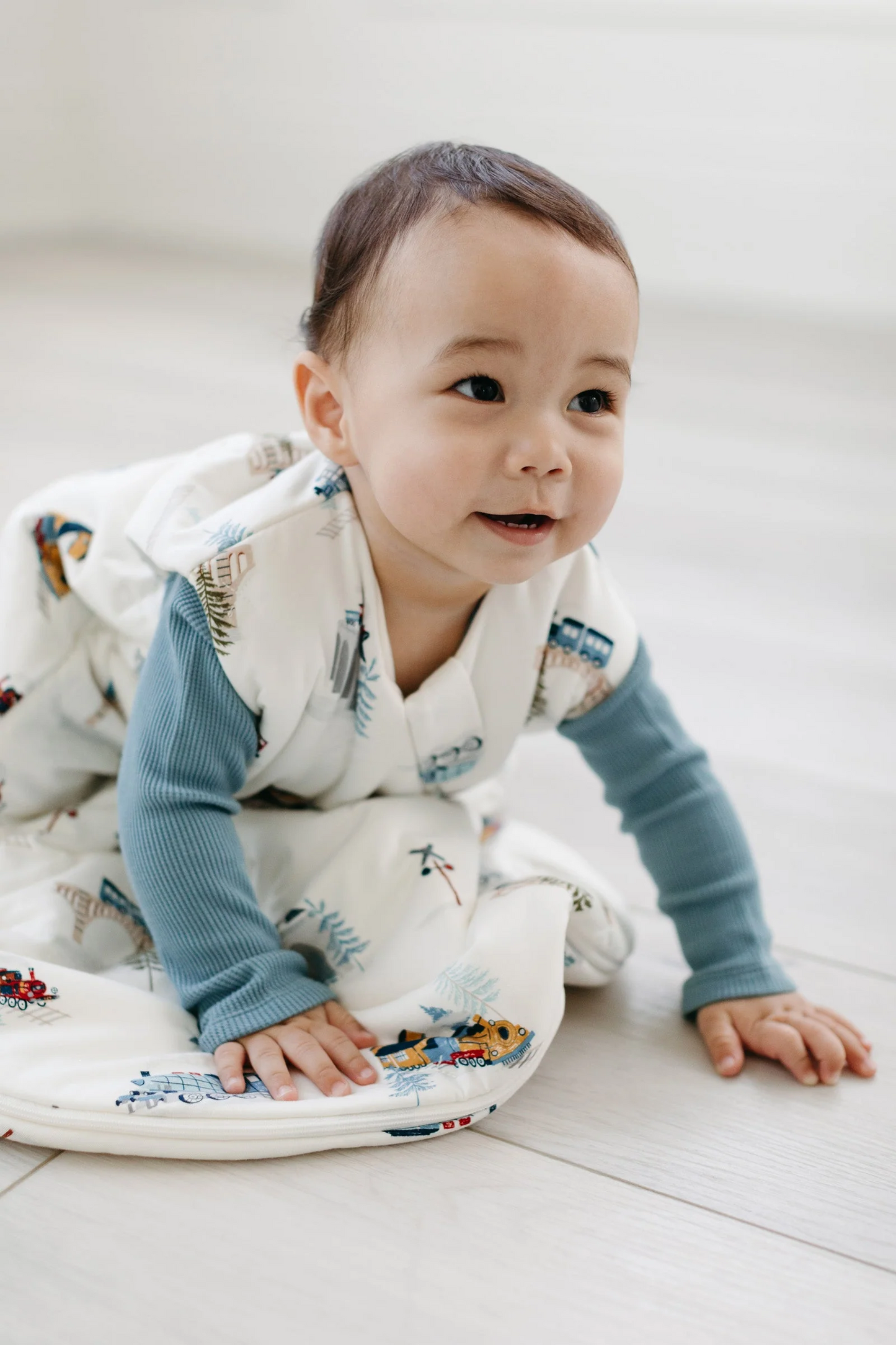 Loulou Lollipop 2.5 TOG Sleep Bag in All Aboard