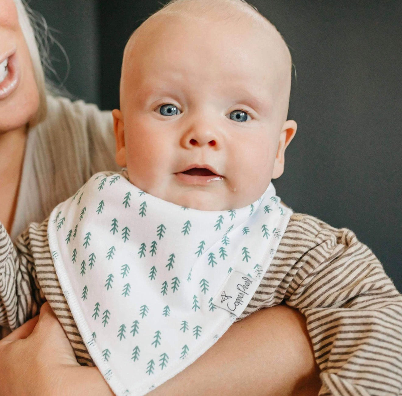 Copper Pearl 4 Pack Bandana Bibs in “Atwood”