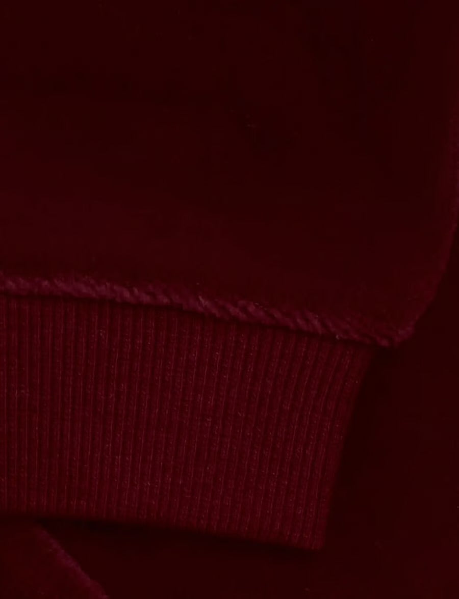 Fixoni Velour Pant in Burgundy