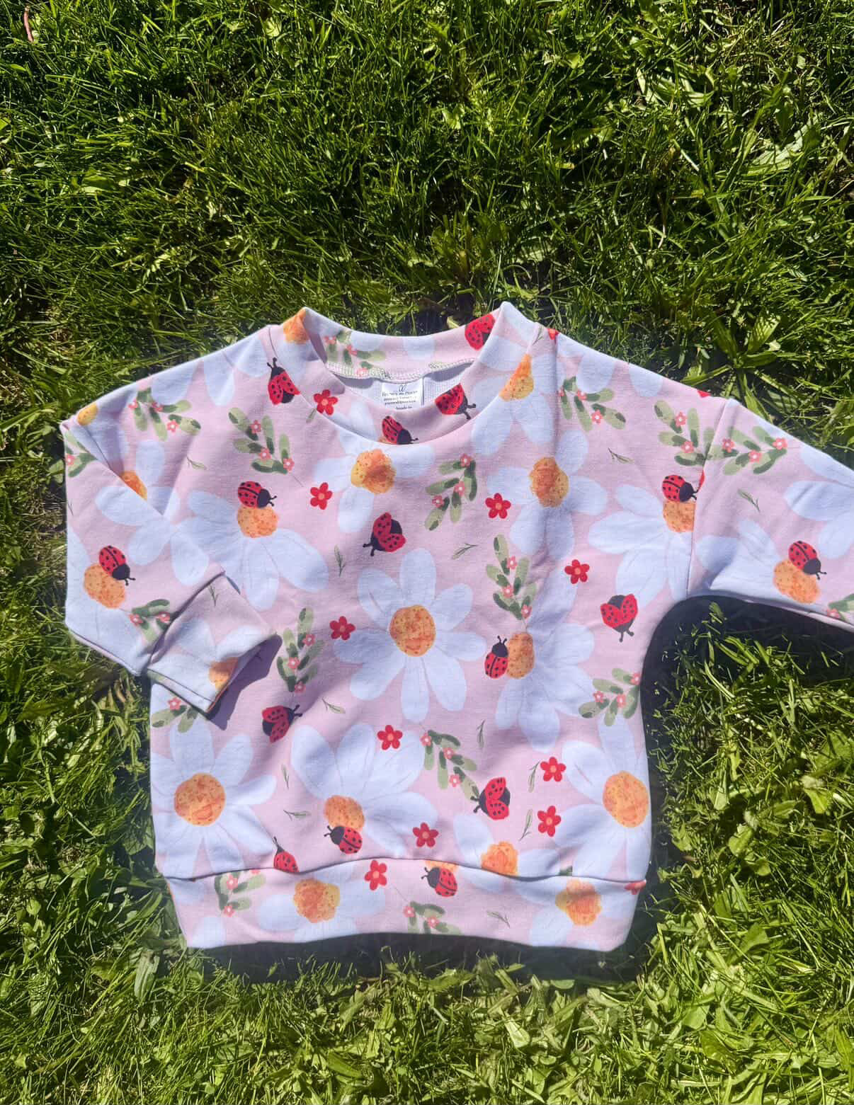 Reeses Little Pieces “Ladybug Floral” Crewneck