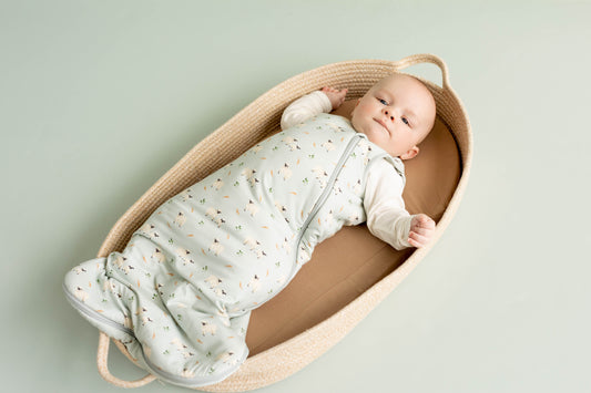 Coccoli Modal 1.5 Tog Sleep Sack in Sheep on Mercury