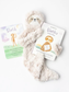 Slumberkins Snuggler and Books Sets