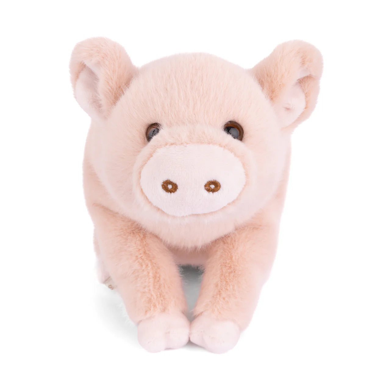 Bukowski Bears - Sweet Oink