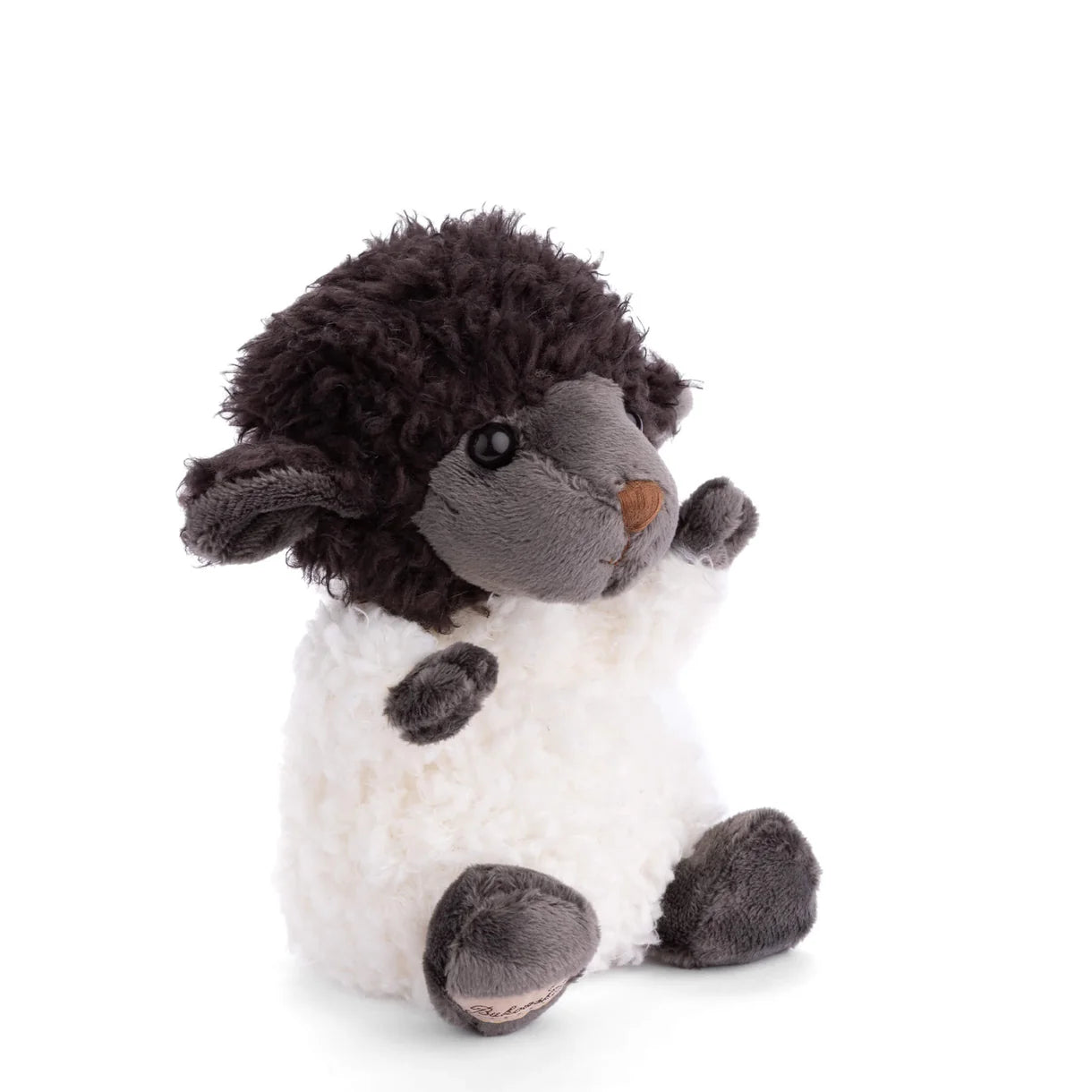 Bukowski Bears - Black Sheep