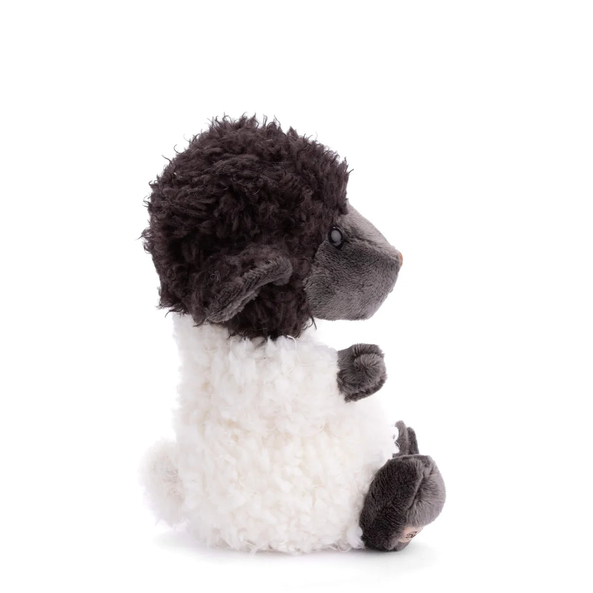 Bukowski Bears - Black Sheep
