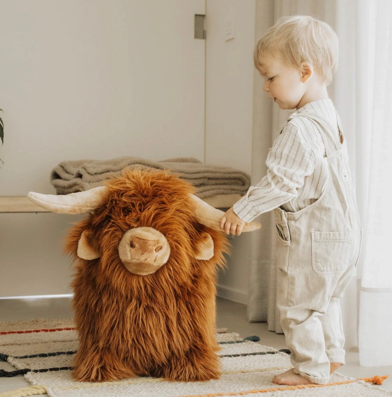 Wild & Soft Soft Bouncy Highland Cow