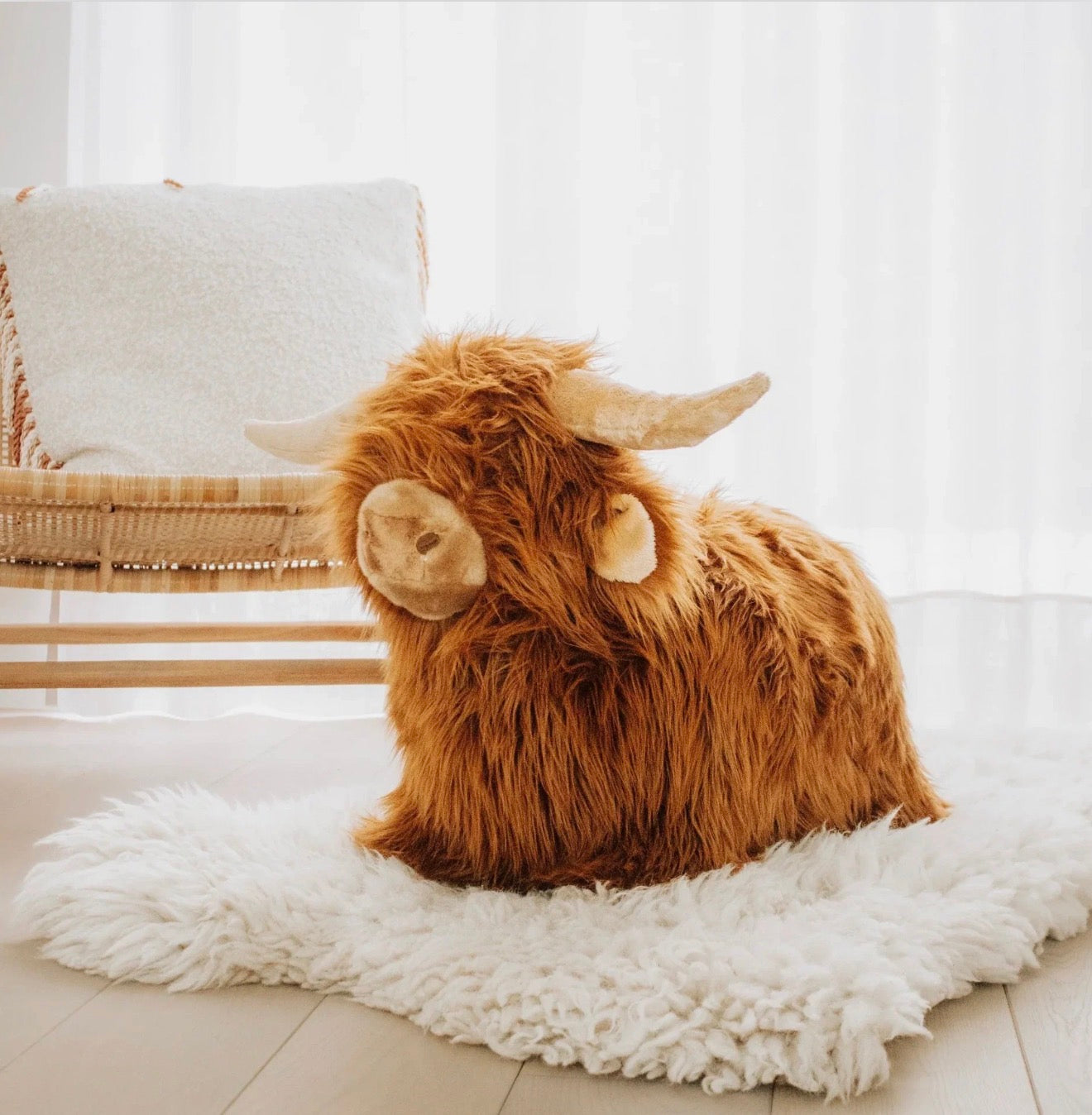 Wild & Soft Soft Bouncy Highland Cow