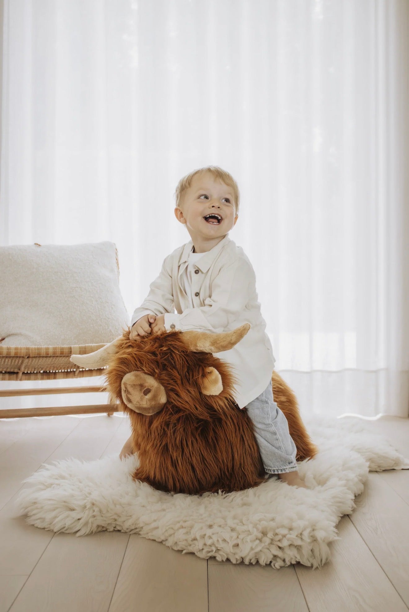 Wild & Soft Soft Bouncy Highland Cow