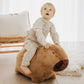 Wild & Soft Soft Bouncy Capybara