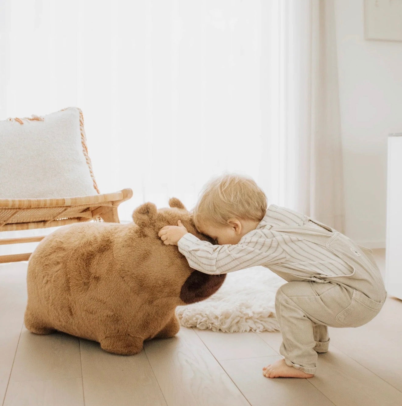 Wild & Soft Soft Bouncy Capybara