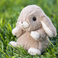 Bukowski Bears - Kanini Bunny in Taupe