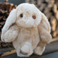 Bukowski Bears - Kanini Bunny in Taupe