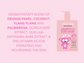 Jack N’ Jill Shampoo & Bodywash