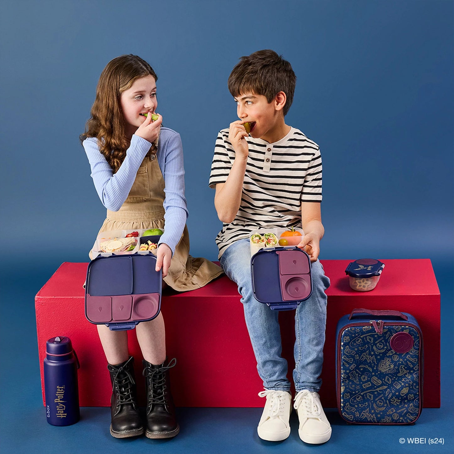 b.box Standard Lunchboxs