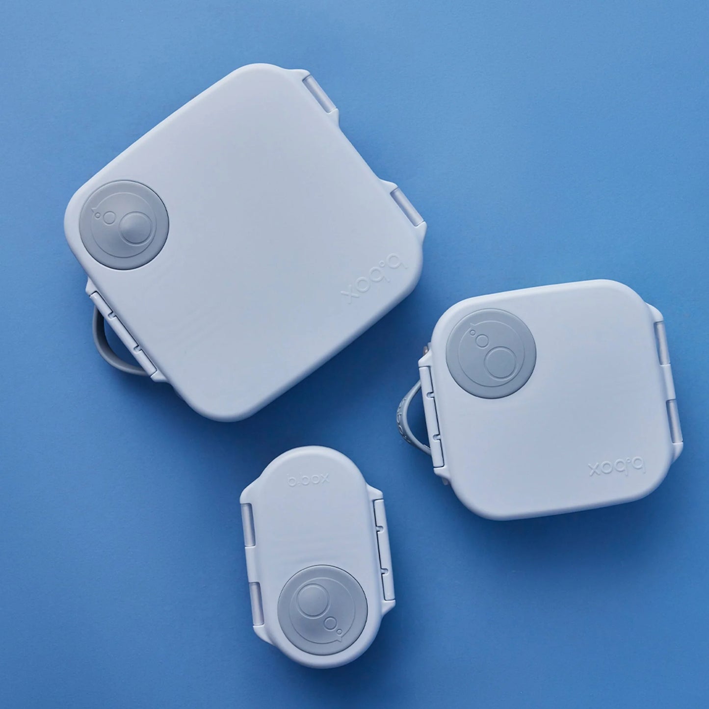 b.box Standard Lunchboxs