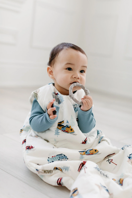 Loulou Lollipop 2.5 TOG Sleep Bag in All Aboard