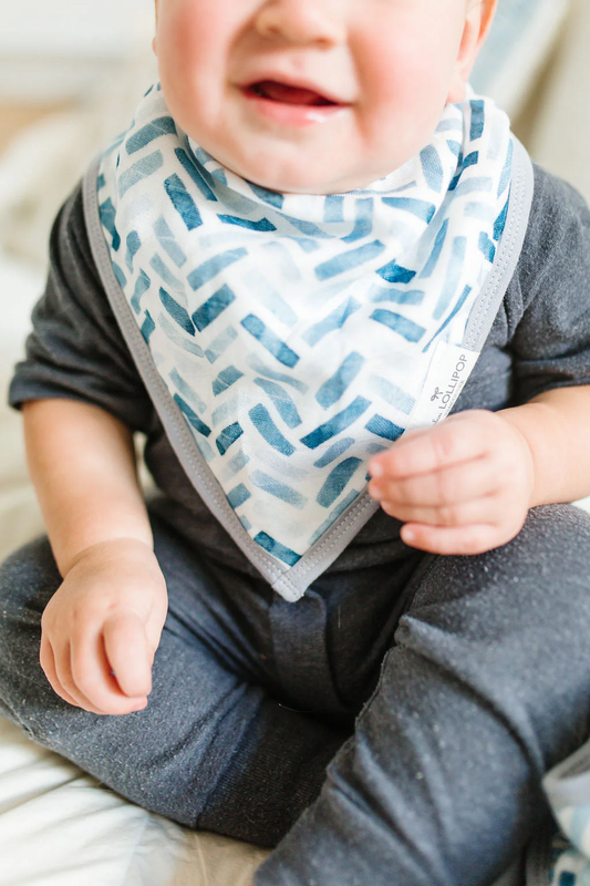 LouLou Lollipop Bandana Bib Set in Adventure Begins
