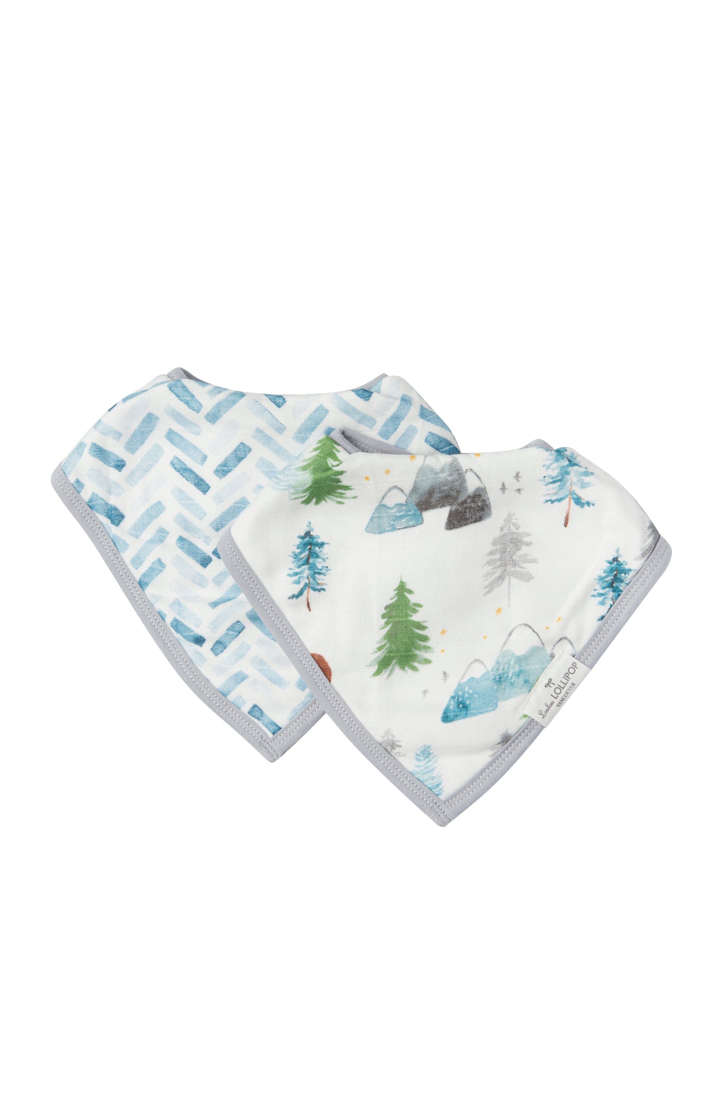 LouLou Lollipop Bandana Bib Set in Adventure Begins