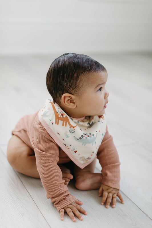 LouLou Lollipop Bandana Bib Set in Baby Dinomite