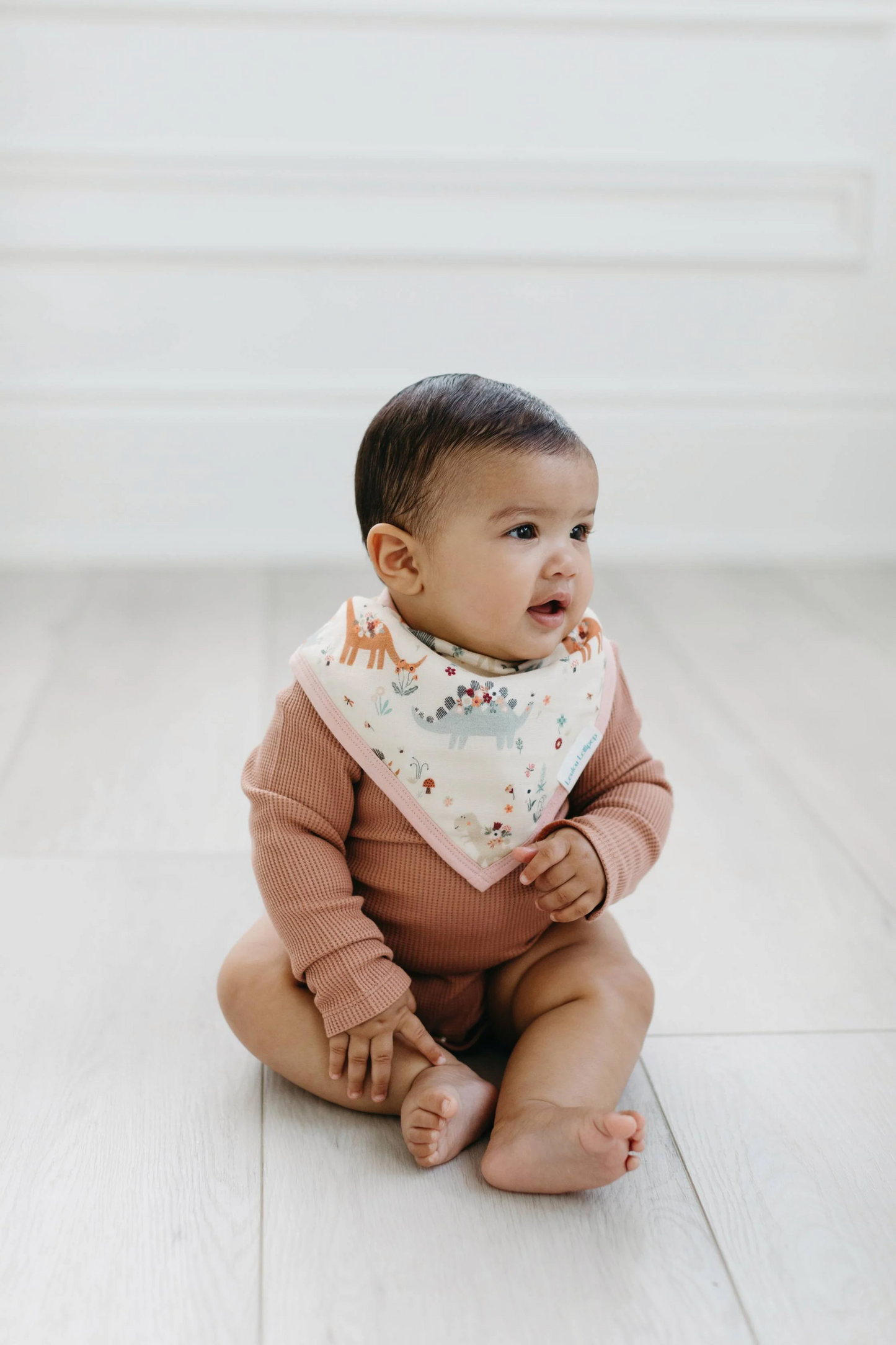 LouLou Lollipop Bandana Bib Set in Baby Dinomite