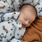 Pip + Phee Bamboo Footed Sleeper in Vintage Cars