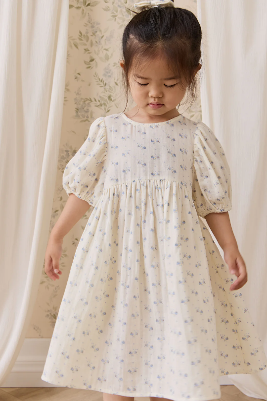 Jamie Kay Organic Cotton Muslin Frannie Dress in Molly Blue