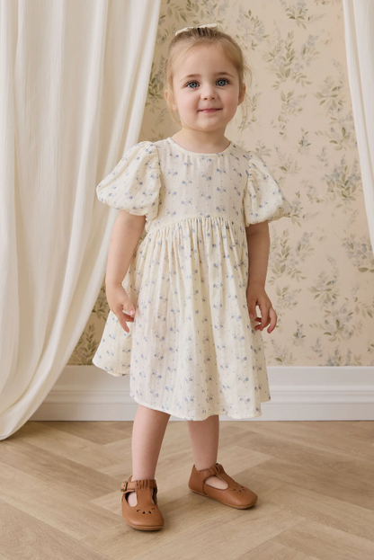 Jamie Kay Organic Cotton Muslin Frannie Dress in Molly Blue