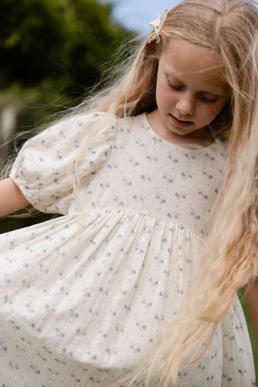 Jamie Kay Organic Cotton Muslin Frannie Dress in Molly Blue