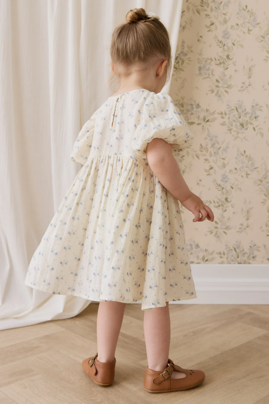 Jamie Kay Organic Cotton Muslin Frannie Dress in Molly Blue