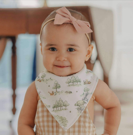 Copper Pearl 4 Pack Bandana Bibs in Hundred Acre Woods