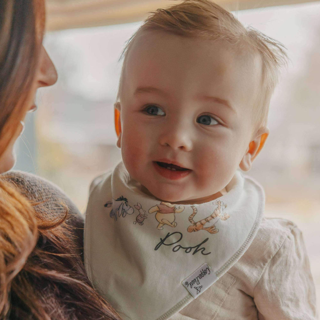 Copper Pearl 4 Pack Bandana Bibs in Hundred Acre Woods