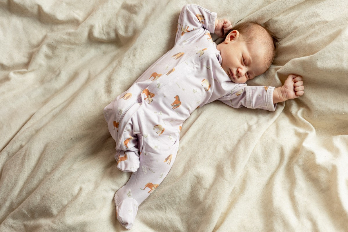 Coccoli Modal Footed Sleeper in Horses on Orchid