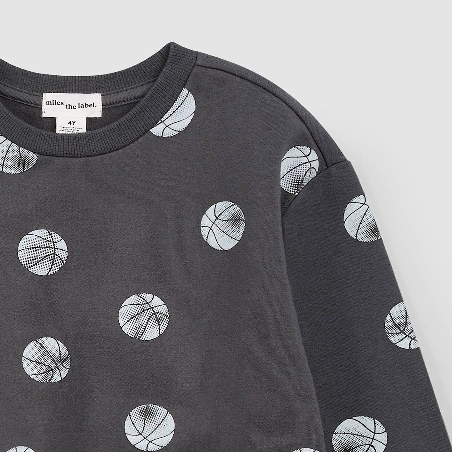 Miles the Label Sweatshirt in Basketball